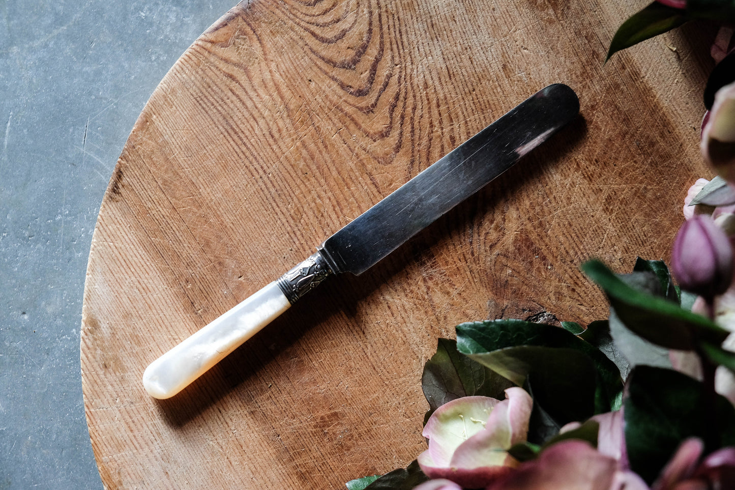 Vintage Mother of Pearl Spreading Knife