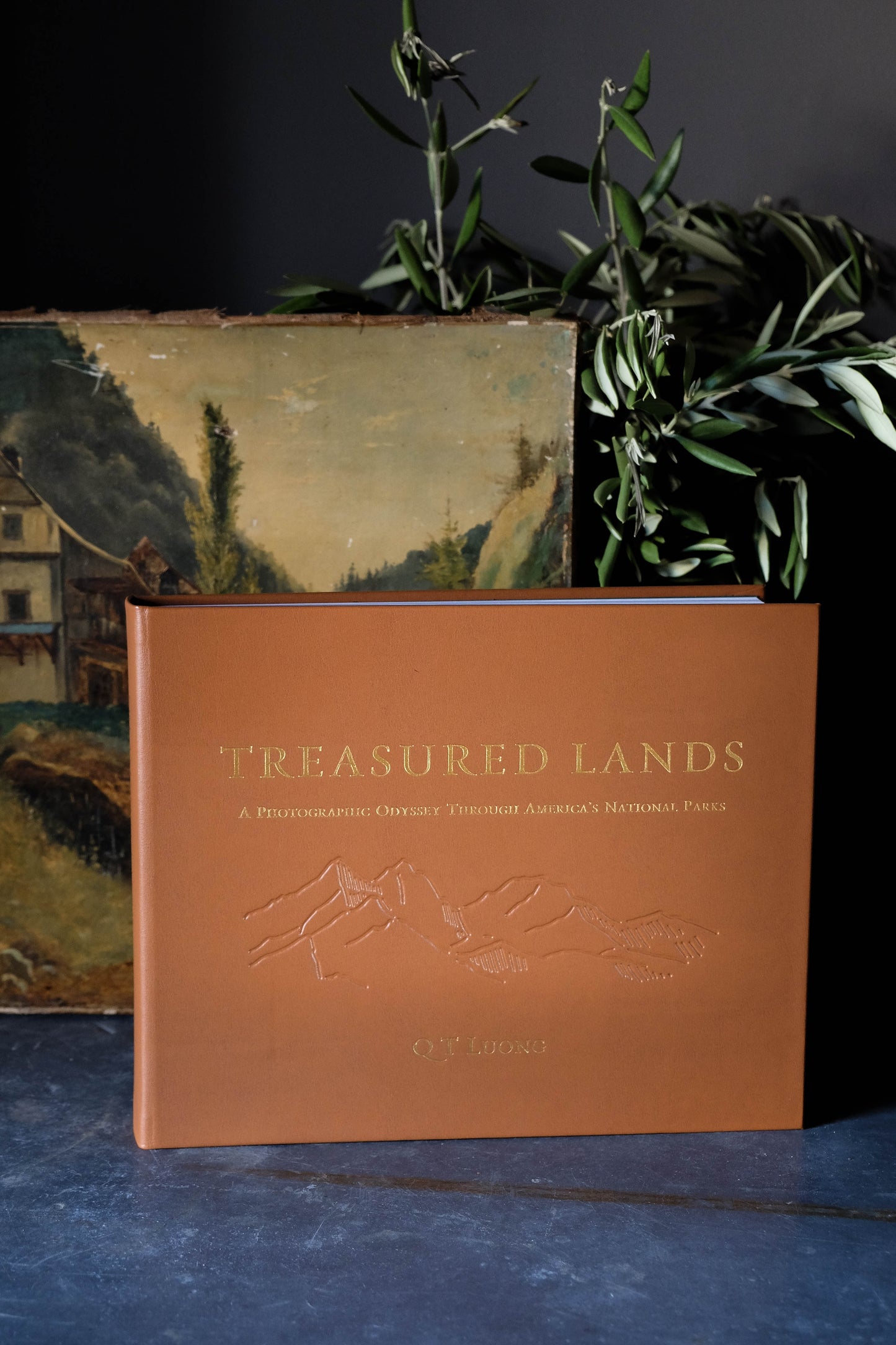 Treasured Lands Leather Edition Book
