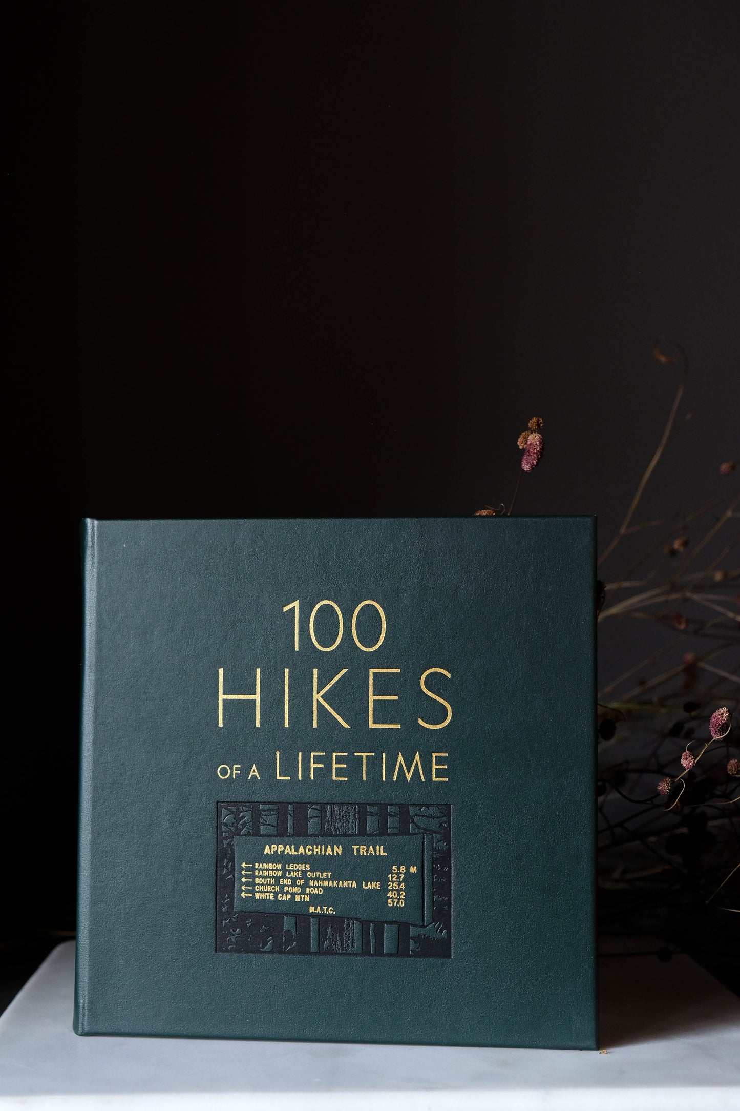 100 Hikes of a Lifetime Leather Edition Book